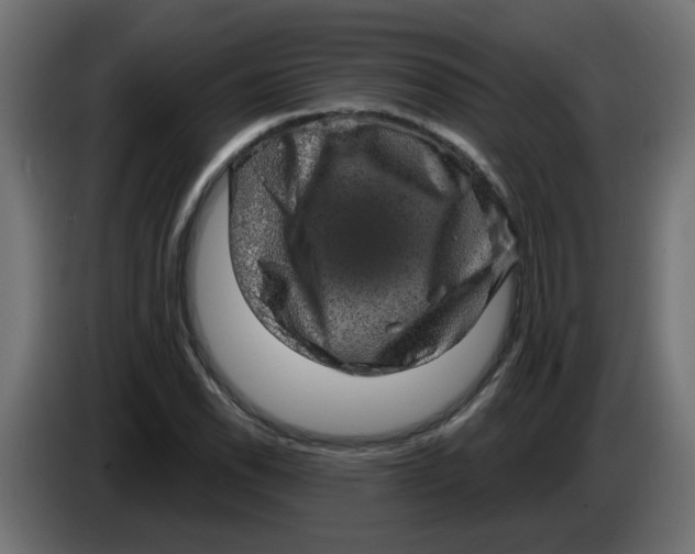 X0000083571118200703021739
