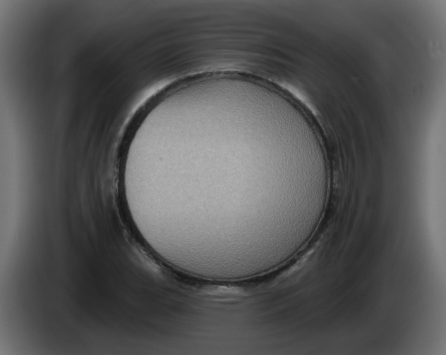 X0000083571119200703021739