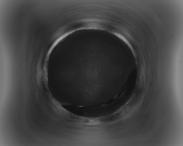 X0000083571120200703021739