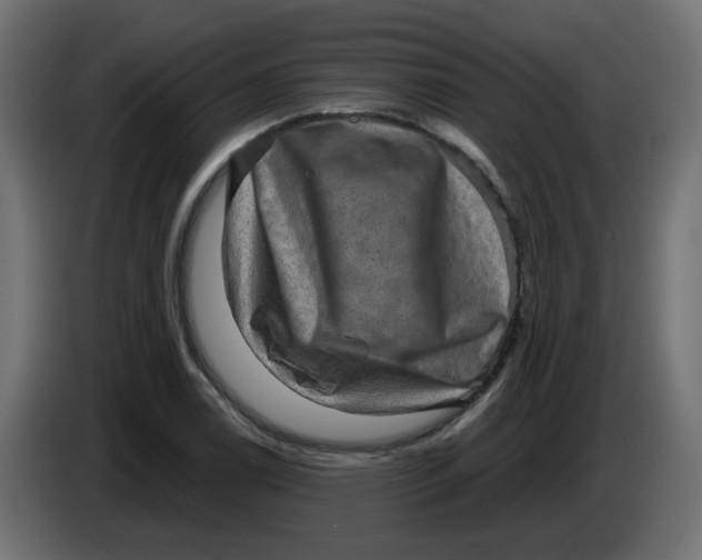 X0000083571122200703021739