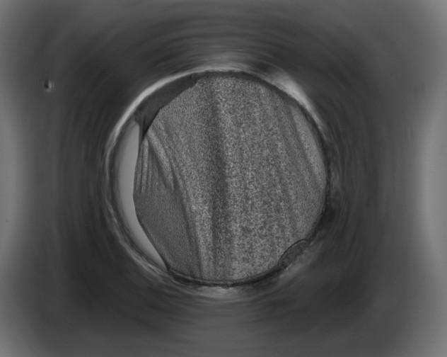 X0000083571124200703021739