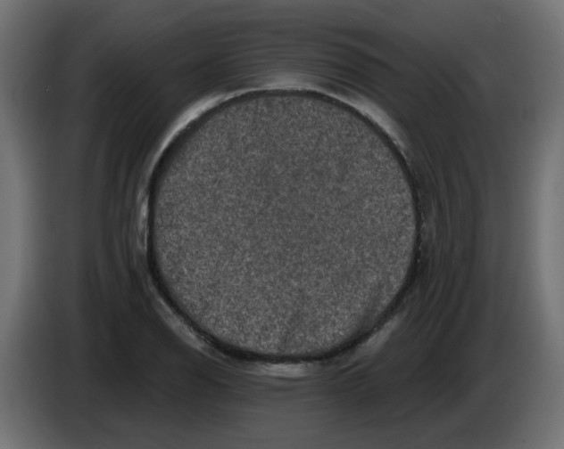 X0000083571126200703021739