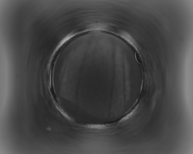 X0000083571127200703021739