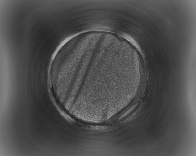X0000083571128200703021739