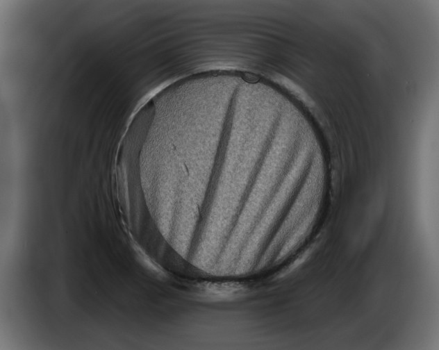 X0000083571129200703021739