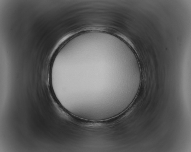 X0000083571131200703021739