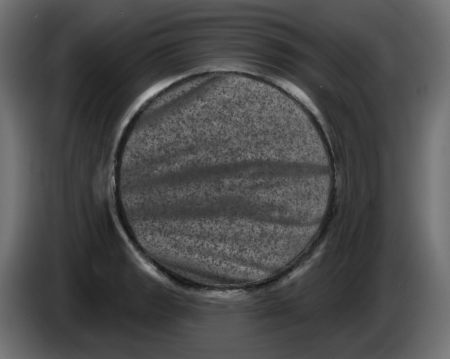 X0000083571133200703021739