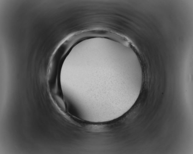 X0000083571134200703021739