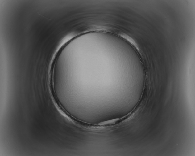 X0000083571135200703021739