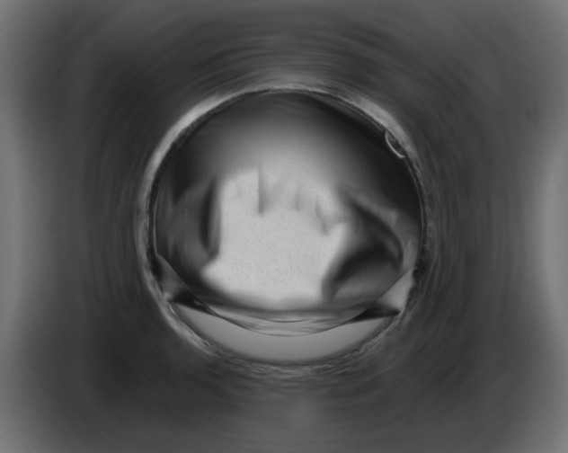 X0000083571136200703021740
