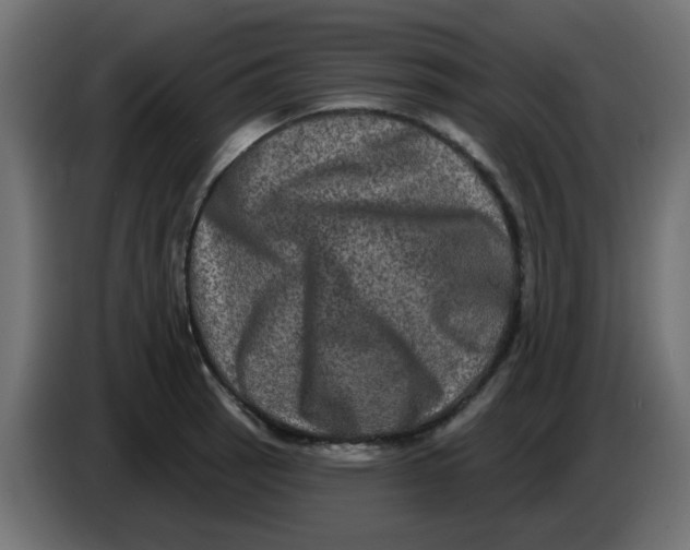 X0000083571137200703021740