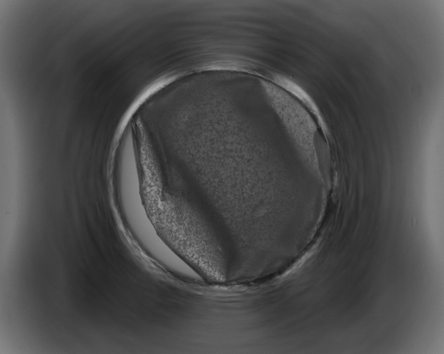 X0000083571138200703021740