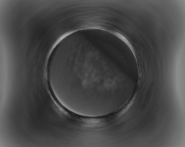 X0000083571141200703021740