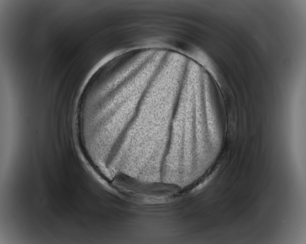 X0000083571142200703021740