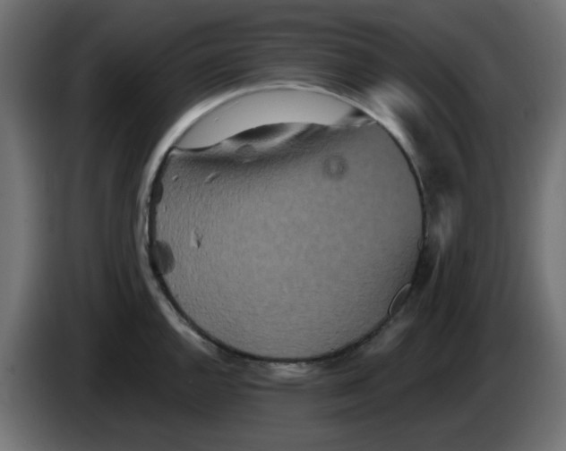 X0000083571144200703021740