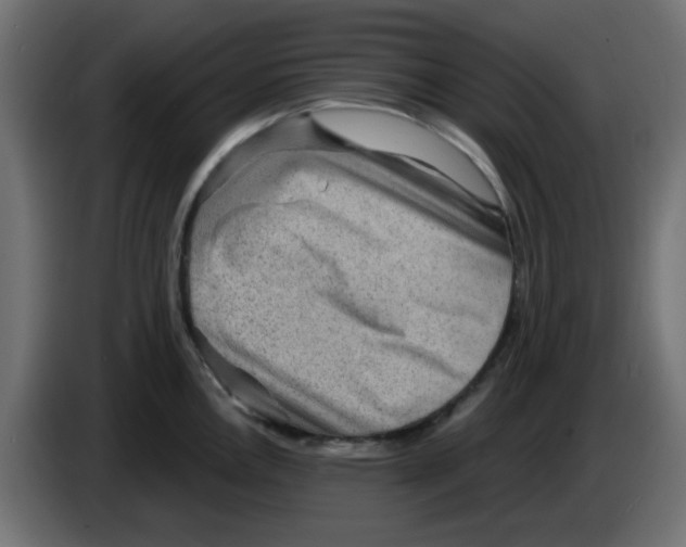 X0000083571146200703021740