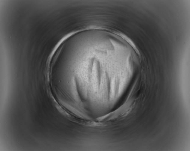 X0000083571148200703021740