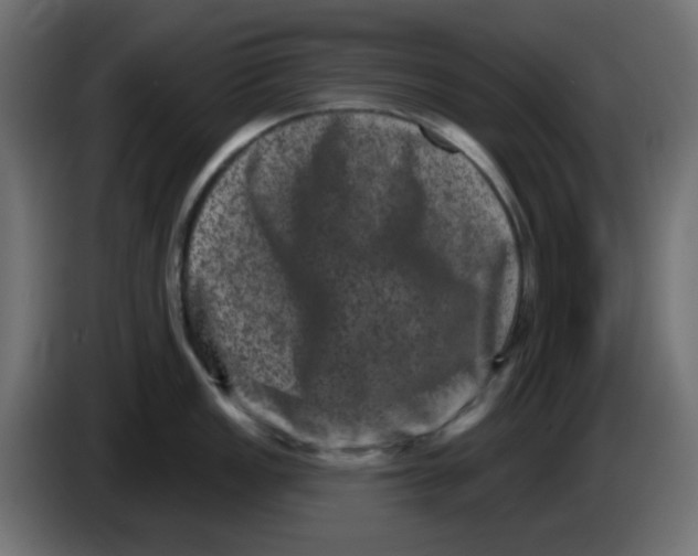 X0000083571149200703021740