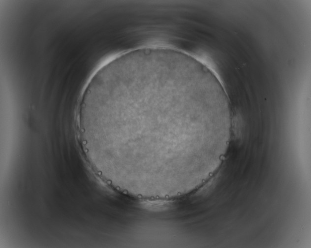 X0000083571150200703021740