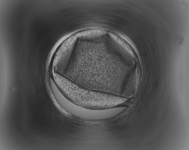 X0000083571152200703021740