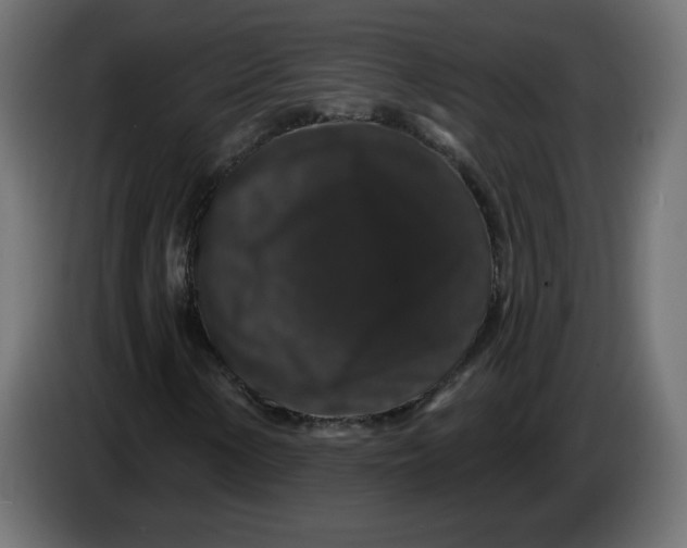 X0000083571154200703021739