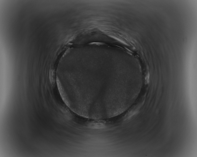 X0000083571156200703021739