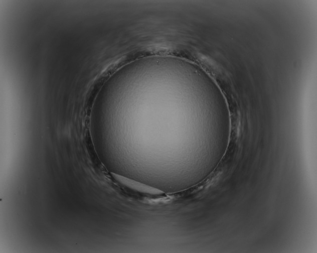X0000083571157200703021739