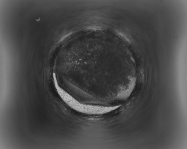 X0000083571158200703021739