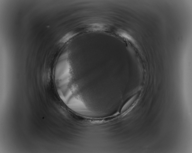 X0000083571161200703021739