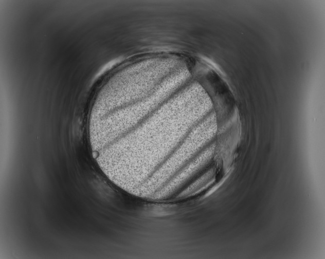 X0000083571163200703021739