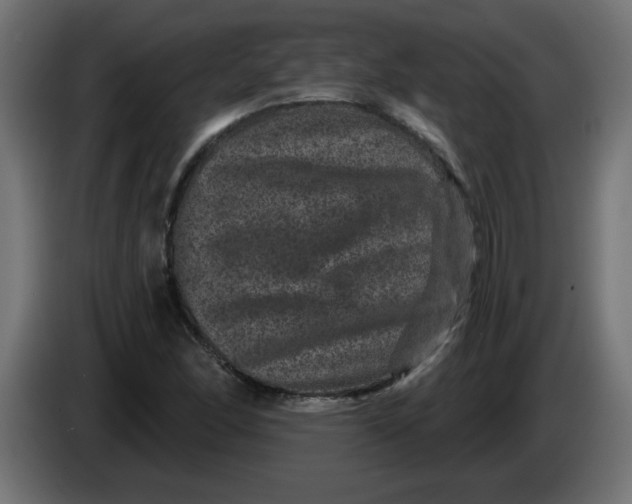 X0000083571166200703021739