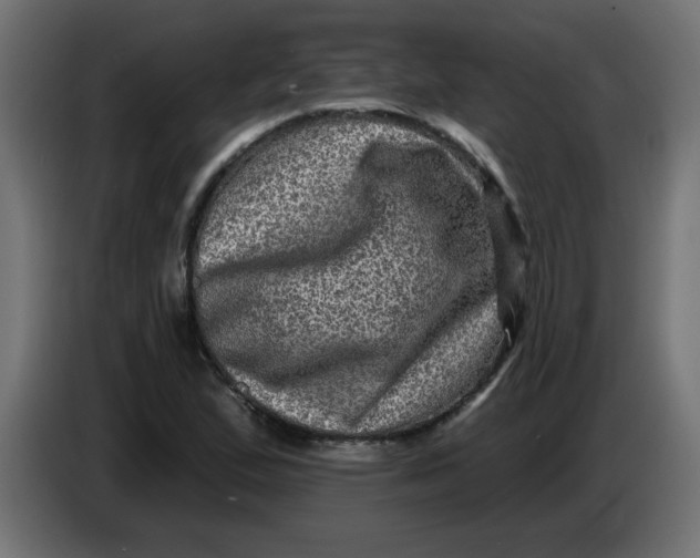 X0000083571167200703021739