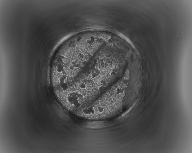 X0000083571171200703021739