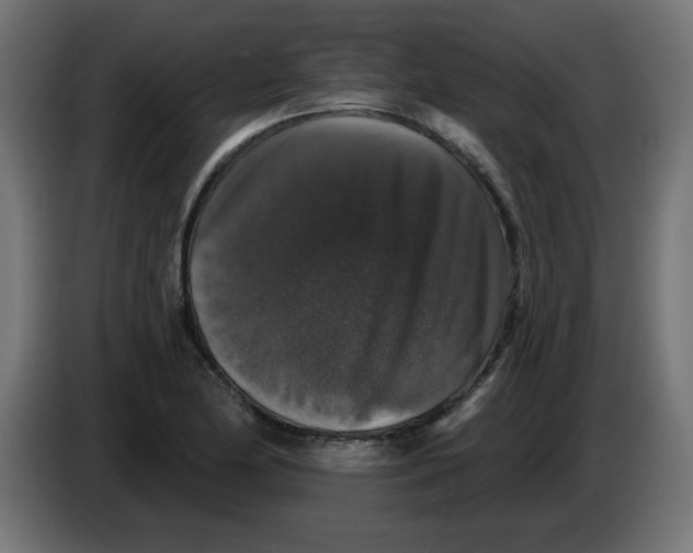 X0000083571174200703021739
