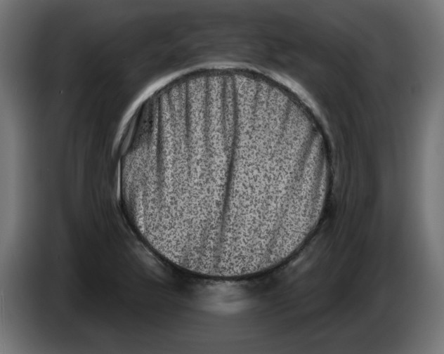 X0000083571175200703021739