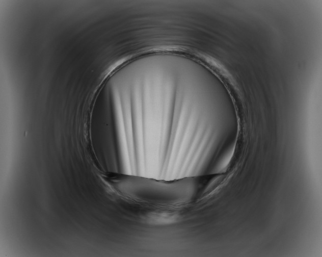 X0000083571177200703021739