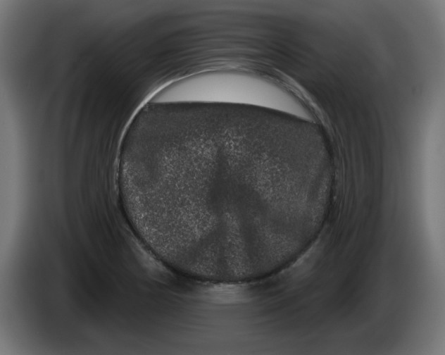 X0000083571178200703021739