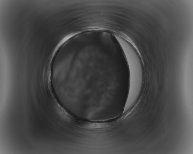 X0000083571179200703021738