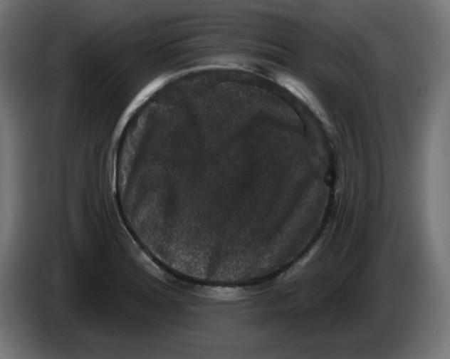X0000083571180200703021738