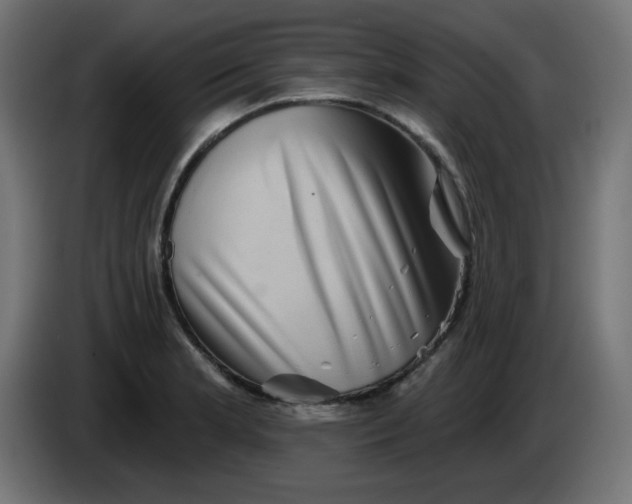 X0000083571181200703021738