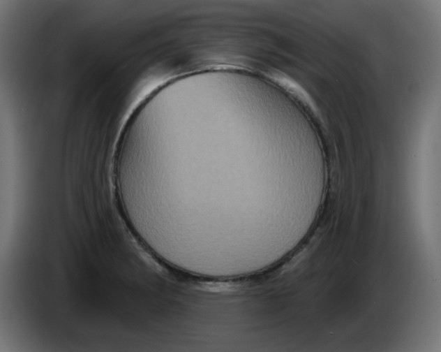X0000083571182200703021738