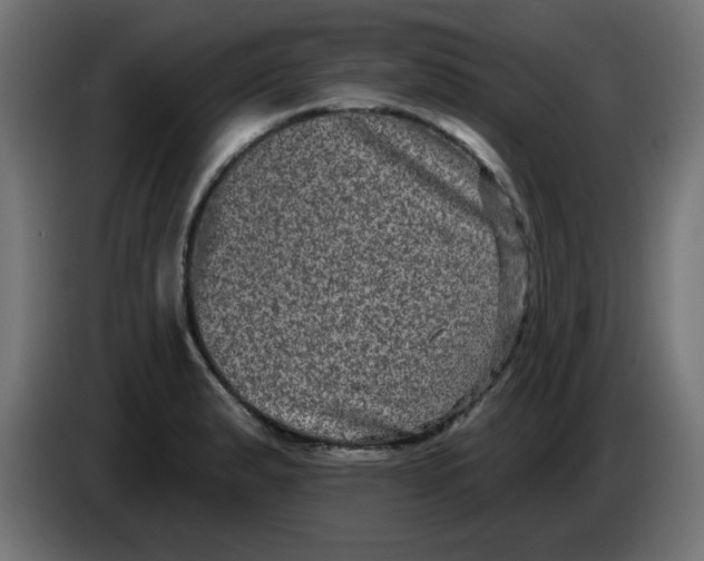X0000083571183200703021738
