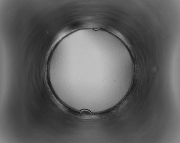 X0000083571187200703021738