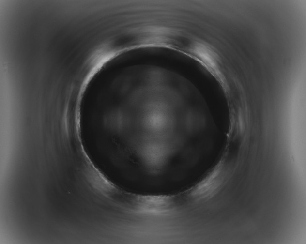X0000083571188200703021738