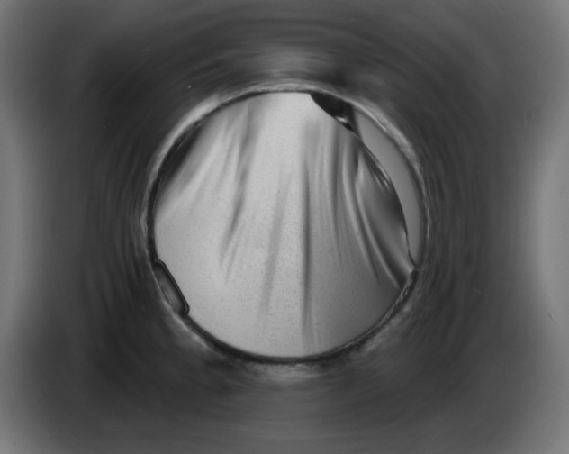X0000083571189200703021738