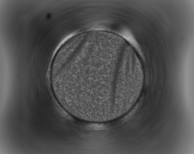 X0000083571190200703021738