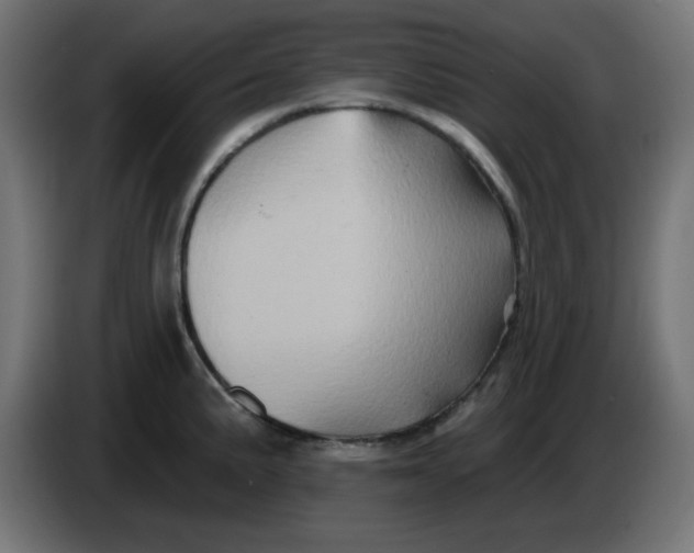 X0000083571191200703021738