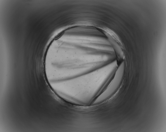 X0000083571192200703021738