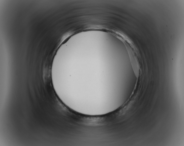 X0000083571193200703021738