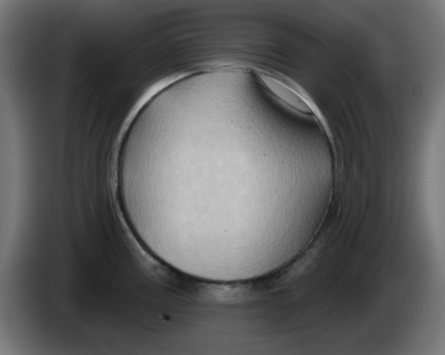 X0000083571195200703021738